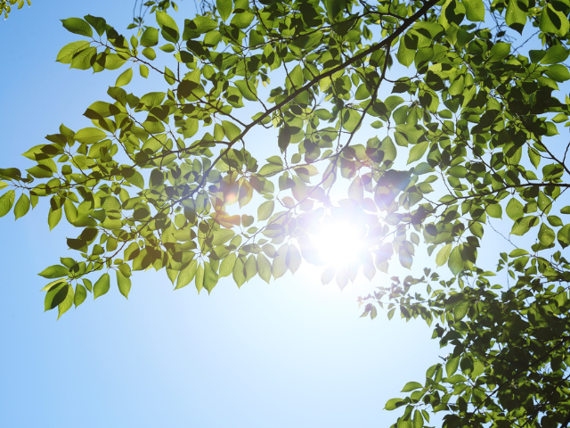 無香料消臭とは？～香りに頼らない消臭剤の選び方と違い～