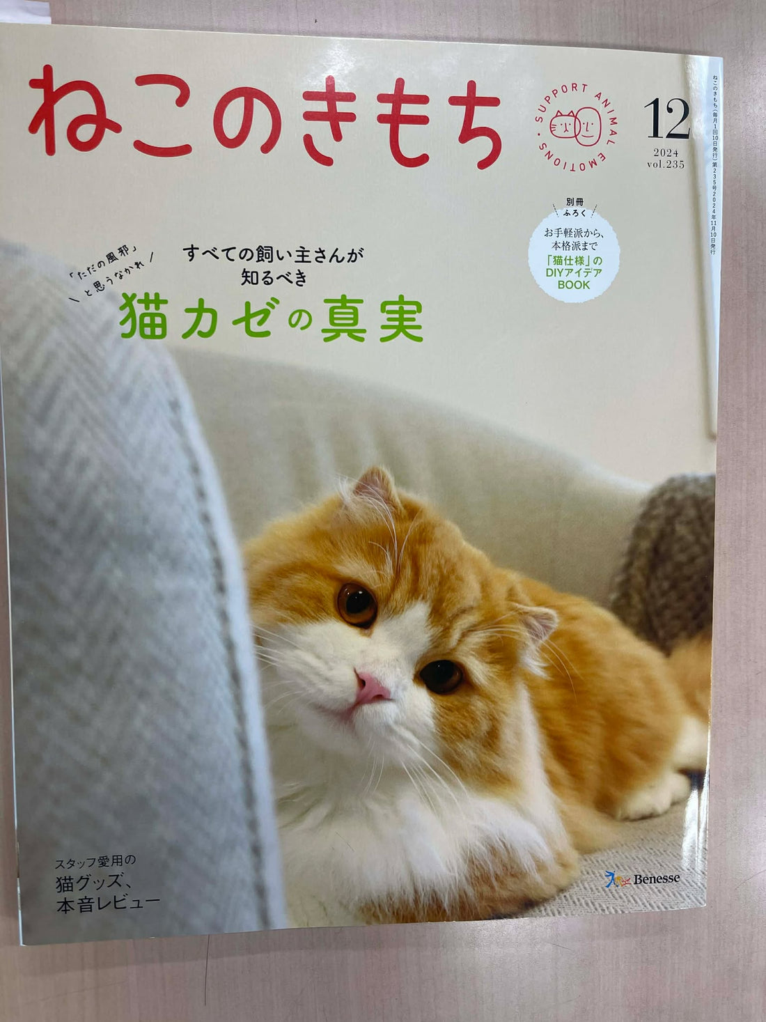 『ねこのきもち』vol.235（2024年12月号）にminioが掲載されました